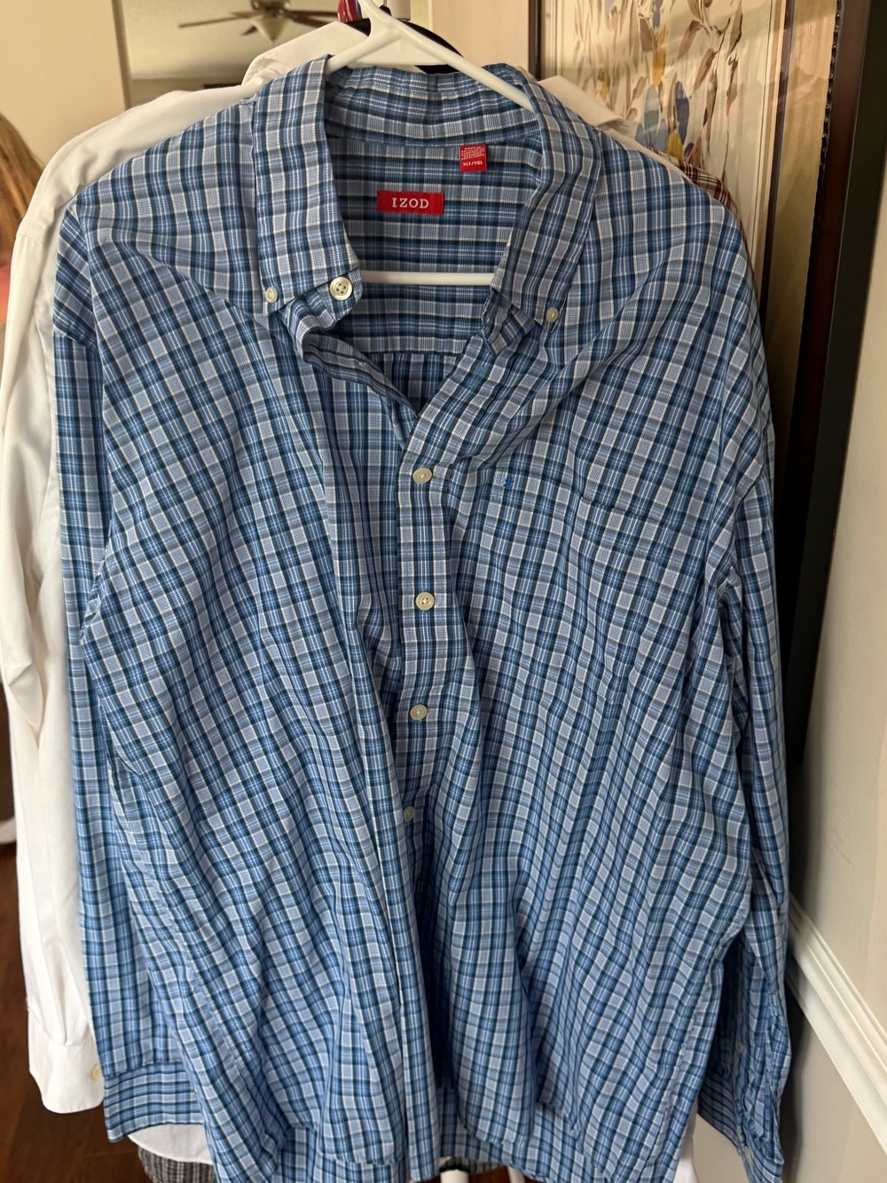 Izod Blue Plaid Long-Sleeve Button-Down Shirt